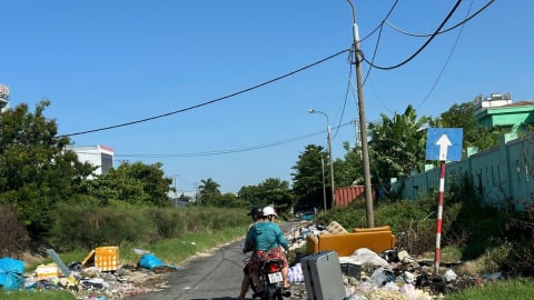 Đà Nẵng: Đề nghị công an vào cuộc để chấm dứt nạn 'rác tặc'
