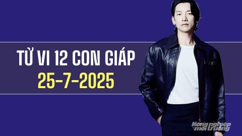 Tử vi 12 con giáp ngày 25/7/2025: Tuổi Mão, Thìn gặp may mắn và thuận lợi
