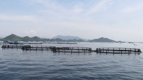 Thúc đẩy phát triển kinh tế biển thông qua đổi mới sáng tạo