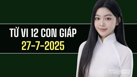 Tử vi 12 con giáp ngày 27/7/2025: Tuổi Tuất đang hướng tới mục tiêu lâu dài