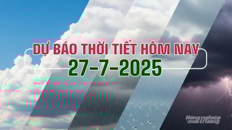 Dự báo thời tiết hôm nay 27/7/2025 mới nhất