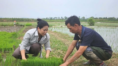 Hải Phòng sớm ổn định sản xuất sau bão Wipha