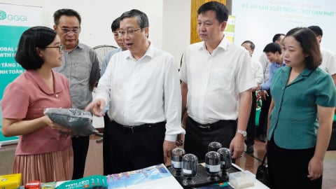 Định vị than sinh học trong chiến lược giảm phát thải ngành trồng trọt