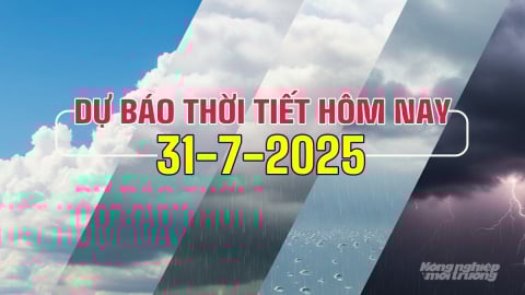 Dự báo thời tiết hôm nay 31/7/2025: Trung Bộ tiếp tục nắng nóng