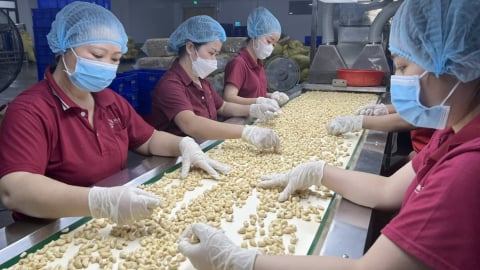 Thương mại Việt Nam-EU đạt gần 300 tỉ USD sau 5 năm thực thi EVFTA
