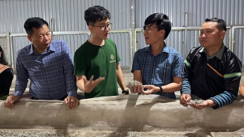 Phình Hồ khó khăn càng nhiều, quyết tâm càng lớn