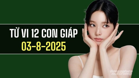 Tử vi 12 con giáp ngày 3/8/2025: Tuổi Tý có một ngày đầy thuận lợi