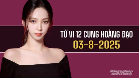 Tử vi 12 cung hoàng đạo ngày 3/8/2025: Bạch Dương có một ngày đầy hứa hẹn