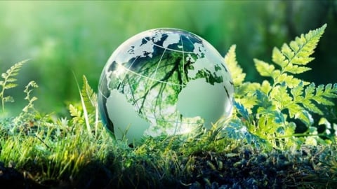 Huy động vốn quốc tế, FTA để chuyển đổi xanh nông nghiệp - môi trường