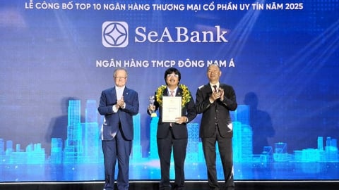 Top 10 Ngân hàng thương mại tư nhân uy tín tiếp tục gọi tên SeABank