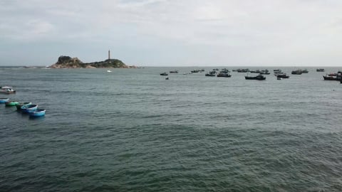 Biển vàng, niềm tin xanh: [Bài cuối] Đồng quản lý là quyền của ngư dân