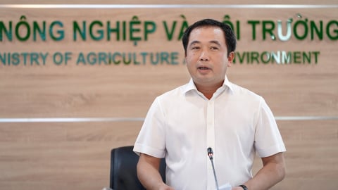 Bộ Nông nghiệp và Môi trường yêu cầu giải ngân 100% vốn đầu tư công