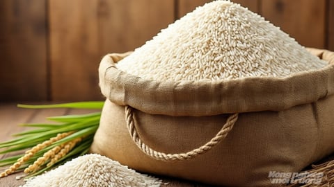 Giá lúa gạo hôm nay 5/8/2025: Gạo quay đầu giảm giá