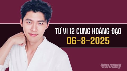 Tử vi 12 cung hoàng đạo ngày 6/8/2025: Một ngày không thuận lợi với Song Tử
