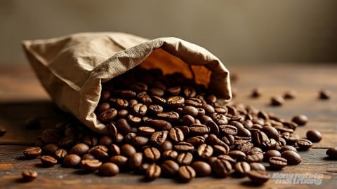 Giá cà phê hôm nay 6/8/2025: Arabica tiếp tục tăng nóng