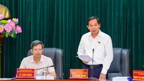 Hải Phòng kiến nghị tiếp tục hoàn thiện chính sách pháp luật bảo vệ môi trường