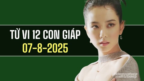 Tử vi 12 con giáp ngày 7/8/2025: Một ngày lý tưởng của người tuổi Mão