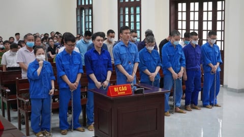 Trả hồ sơ, làm rõ tội 'Nhận hối lộ' vụ buôn lậu gỗ 1.800 tỷ