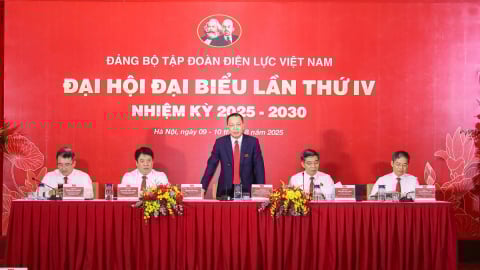 Phiên trù bị Đại hội đại biểu Đảng bộ EVN lần thứ IV, nhiệm kỳ 2025-2030