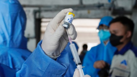Vaccine dịch tả lợn Châu Phi bảo hộ hiệu quả với chủng genotype II