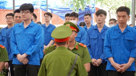 Giữ nguyên án 2 đối tượng cầm đầu vụ 'núp bóng' Công ty luật Pháp Việt