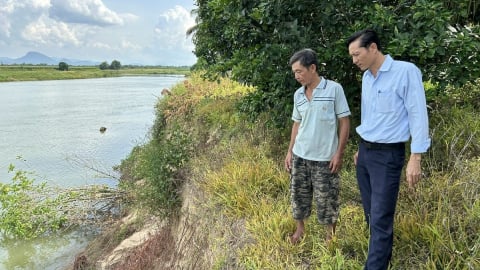 Đại Lộc (Đà Nẵng): Sạt lở gia tăng, đất sản xuất bị sông ‘nuốt chửng’