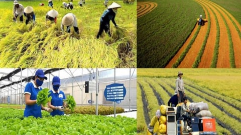 Huy động nguồn lực ngành nông nghiệp và môi trường trong kỷ nguyên vươn mình