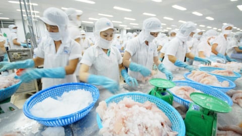 Thị trường nội địa - 'Thành trì dài hạn' của cá tra Việt Nam
