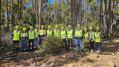 Vietnam learns from Australia’s experience in managing rare minerals