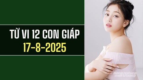 Tử vi 12 con giáp ngày 17/8/2025: Người tuổi Thìn đối mặt với khó khăn