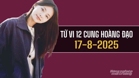Tử vi 12 cung hoàng đạo ngày 17/8/2025: Sư Tử nhận nhiều may mắn