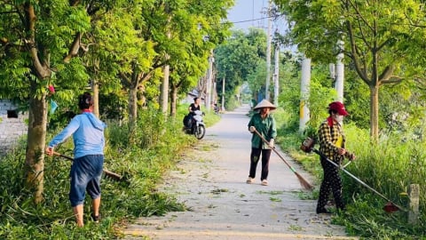 Lan tỏa phong trào ‘Ngày cuối tuần Xanh’ vì môi trường bền vững