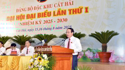 Xây dựng Cát Hải thành đặc khu kinh tế biển