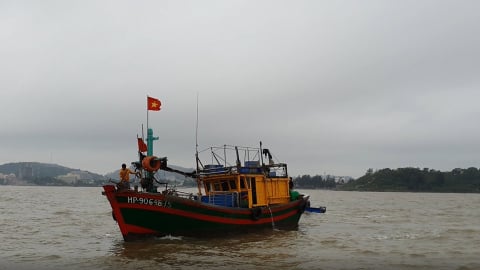 Hải Phòng cấm biển khẩn cấp ứng phó áp thấp nhiệt đới