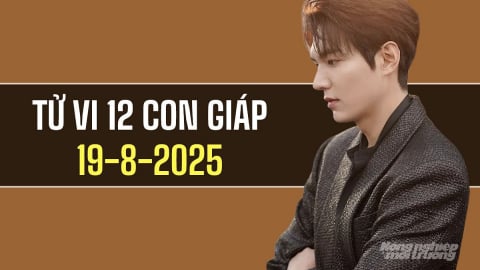 Tử vi 12 con giáp ngày 19/8/2025: Người tuổi Tỵ nhận nhiều tín hiệu tích cực