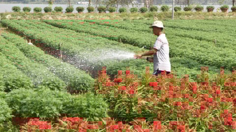 Vĩnh Long: Tạo đột phá mới cho nông nghiệp, môi trường
