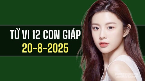 Tử vi 12 con giáp ngày 20/8/2025: Tuổi Ngọ nhận nhiều năng lượng tích cực