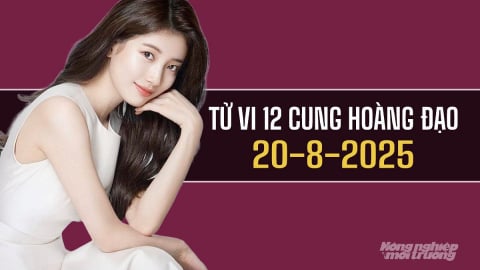 Tử vi 12 cung hoàng đạo ngày 20/8/2025: Thiên Bình chưa có nhiều khởi sắc
