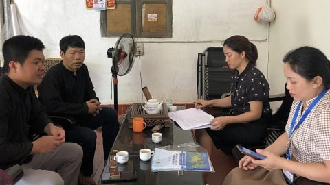 Hàng triệu hộ kinh doanh cá thể trong diện tổng điều tra kinh tế 2026
