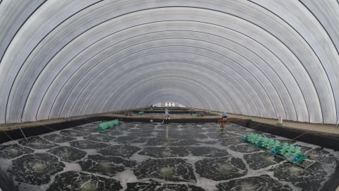 Chuẩn bị đầy đủ điều kiện phục vụ nuôi trồng thủy sản các tháng cuối năm