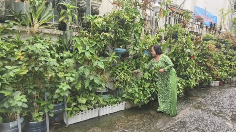 Biến rác thải nhựa thành không gian xanh giữa lòng Thành phố