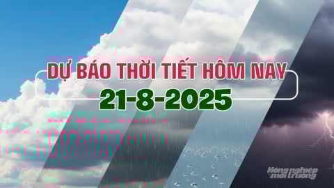 Thời tiết hôm nay 21/8/2025: Cảnh báo lũ quét tại Quảng Ninh, Thái Nguyên, Đắk Lắk