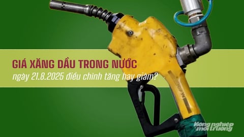 Giá xăng dầu trong nước ngày 21/8/2025 điều chỉnh tăng hay giảm?