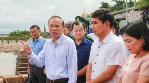 Hải Phòng cam kết 'một tháng hành động' để siết chặt quản lý tàu cá