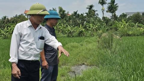 Dân Hòa: 20 hộ dân xin tự đầu tư làm đường nhưng gặp trở ngại