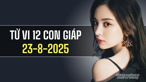 Tử vi 12 con giáp ngày 23/8/2025: Người tuổi Dậu nên có người hỗ trợ