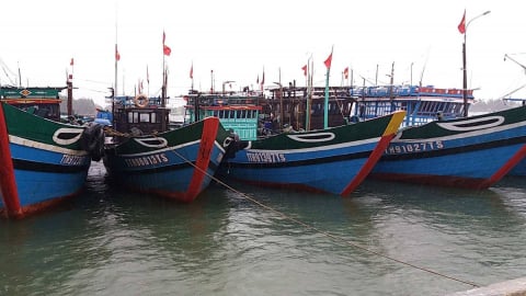 Ứng phó bão số 5, Huế ‘cấm biển’ từ tối 23/8