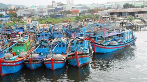 Đà Nẵng họp khẩn ứng phó bão số 5