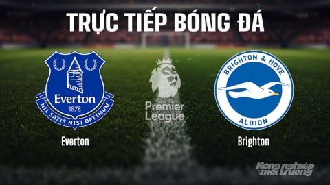 Trực tiếp Everton vs Brighton giải Ngoại hạng Anh trên K+ SPORT 2 hôm nay 24/8/2025