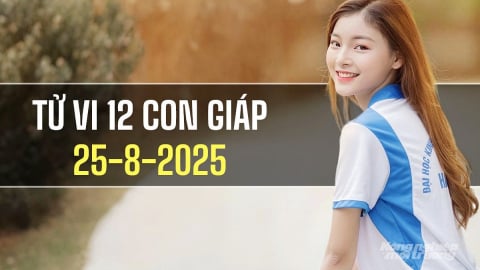 Tử vi 12 con giáp ngày 25/8/2025: Tuổi Hợi cần mạnh dạn nắm bắt cơ hội